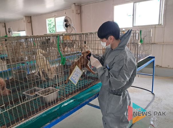 안산시, 고양이 고병원성 AI 관련 긴급방역 조치 실시