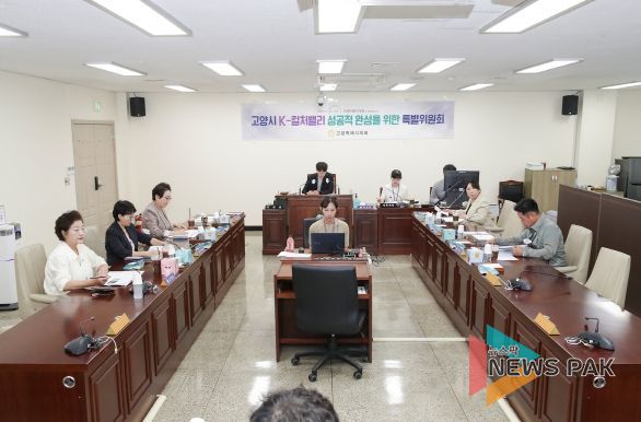 고양시K-컬처밸리성공적완성을위한특별위원회 제3차 회의 개최