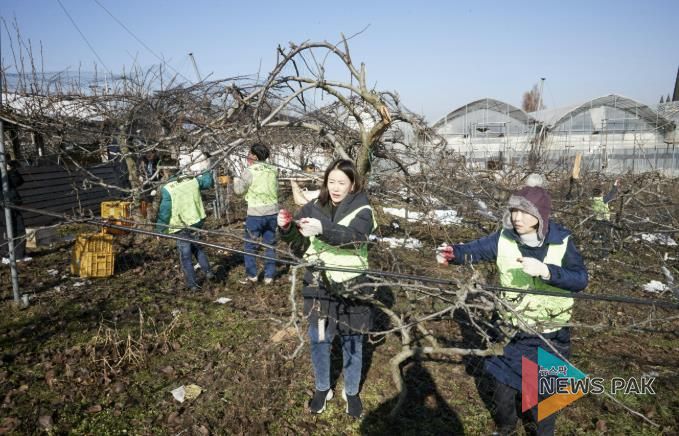용인특례시의회, 폭설 피해 농가 자원 봉사 실시