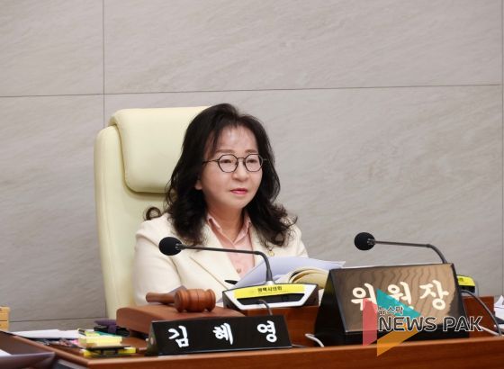 김혜영 예산결산 위원장 회의 모습