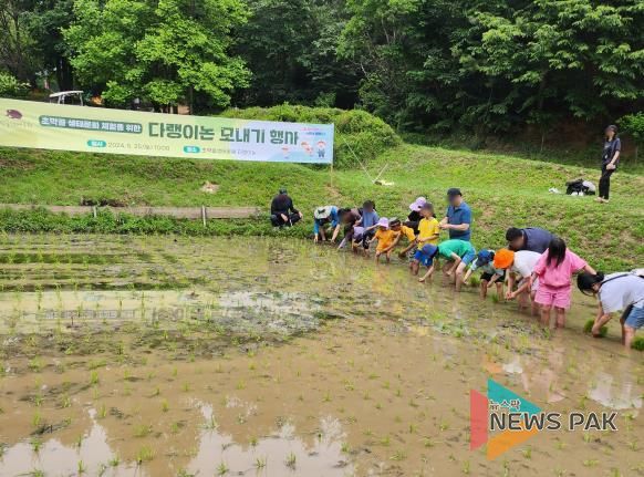 2024 모내기체험