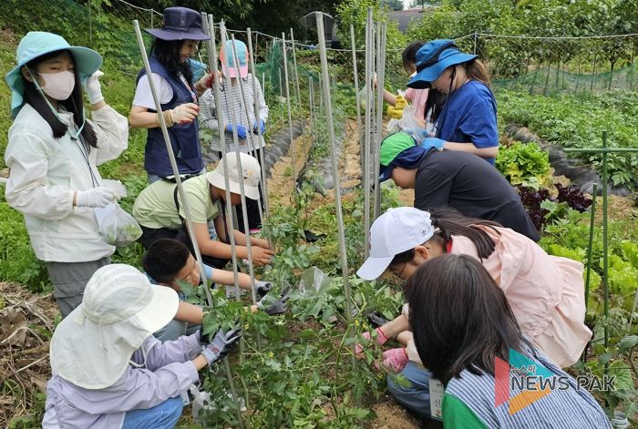 경기공유학교 환경 생태 프로그램 운영