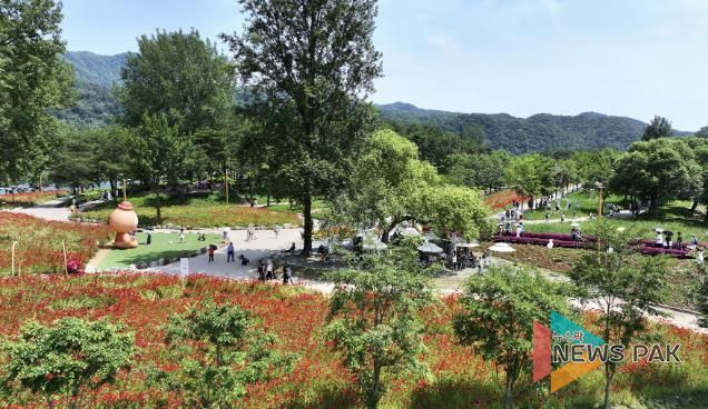 가평 ‘자라섬 꽃 페스타’… 16일 만에 10만명 돌파