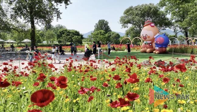 가평 '자라섬 꽃 페스타', 약14만명 발길 속 '성료'