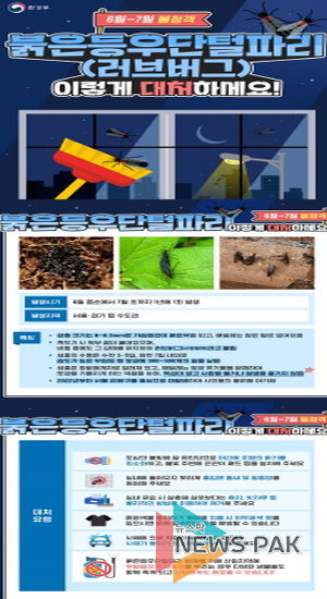 러브버그대처요령