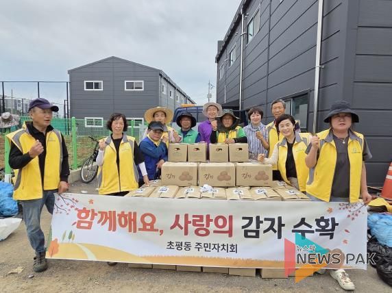 오산시 초평동, '사랑의 감자 수확'으로 이웃사랑 실천