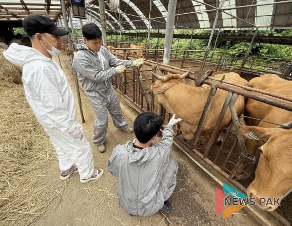 가평군, 여름철 폭염‧장마에 가축피해 최소화 '총력'