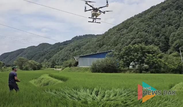 가평군, 친환경 벼 병해충 약제 긴급 공급