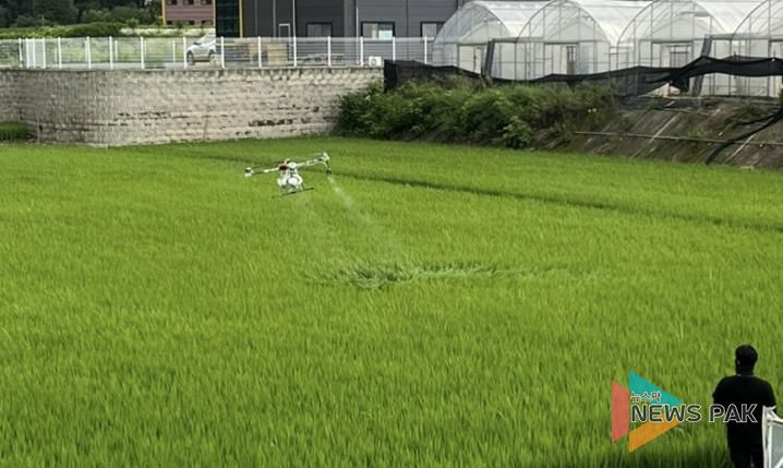광주시, 드론·광역방제차 활용 벼 병해충 공동방제 실시