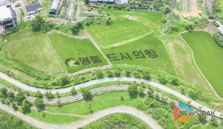 의왕시 초평동 들녘에 피어난“명품도시 의왕”…이색적 벼 아트 눈길 끌어