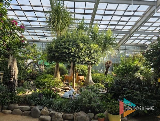 평택시자연테마식물원, 20년 된 덕구리난 꽃 피워