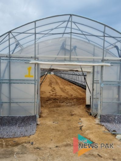 광주시, 토마토 농가 대상 2026년 시설하우스(객토) 지원사업 수요 조사 실시