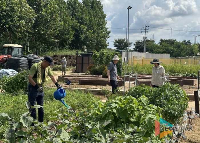 평택시 농업기술센터, ‘시민들과 함께한 가을 김장채소 재배 교육’ 진행