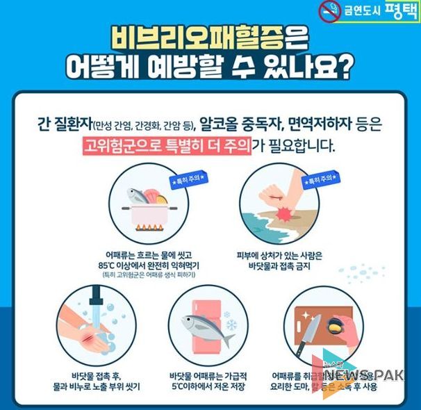 바닷물 온도 상승이 불러온 건강 위협, ‘비브리오패혈증’ 주의!