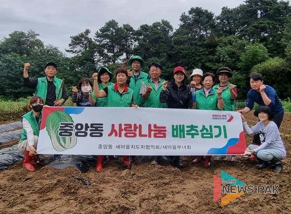 오산시 중앙동, 사랑의 배추심기 행사 개최