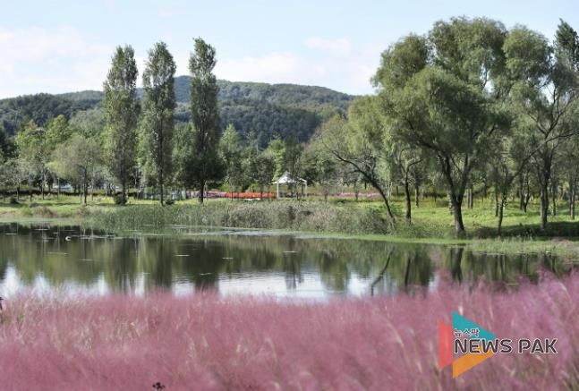 가평군 자라섬 꽃 페스타, 꽃으로 감사와 희망 전해