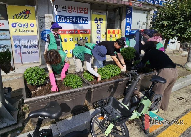 신장2동 새마을부녀회, 가을꽃으로 산뜻한 마을 조성