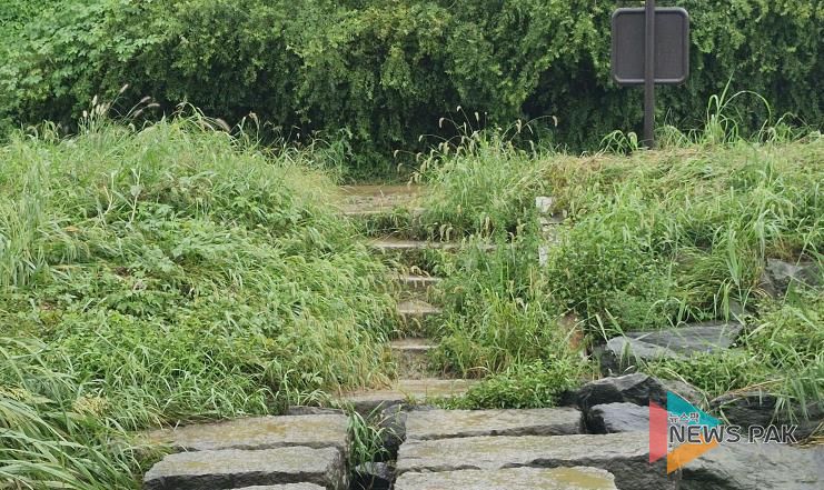 평택시, 추석맞이 하천변 제초 작업 실시