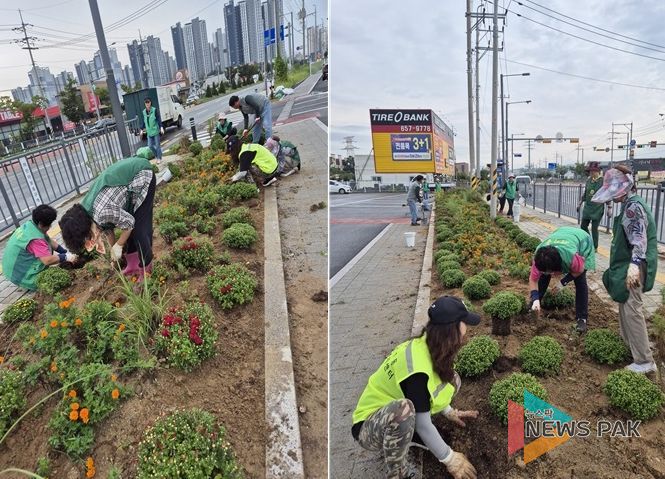 비전1동, 가을꽃 국화꽃 심어 아름다운 경관 조성