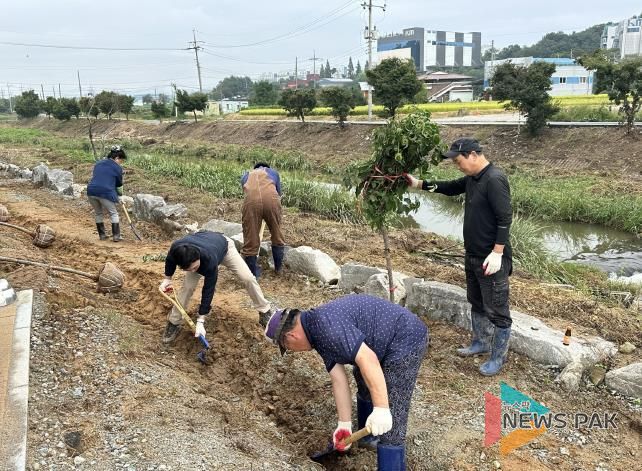 안성시 미양면 주민자치위원회, 영청동 쌈지공원 가꾸기…꽃과 나무로 채운 주민 쉼터