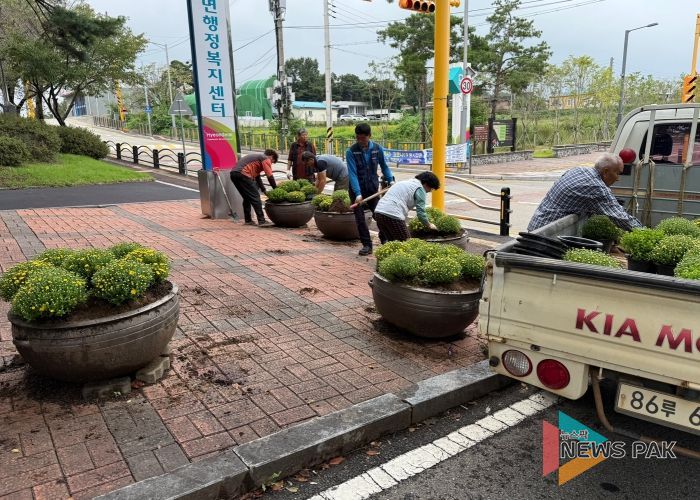 현덕면 바르게살기운동위원회, 가을꽃 심기로 행정복지센터 경관 개선