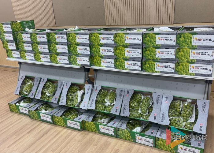 평택북부장애인복지관, 저소득 장애인 가정에 명절 물품 전달