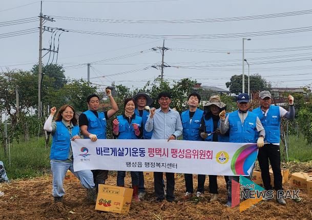 바르게살기운동 평택시 팽성읍 위원회, 고구마 수확 행사