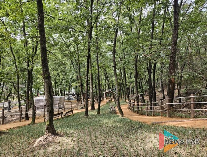 안양예술공원 맨발산책길