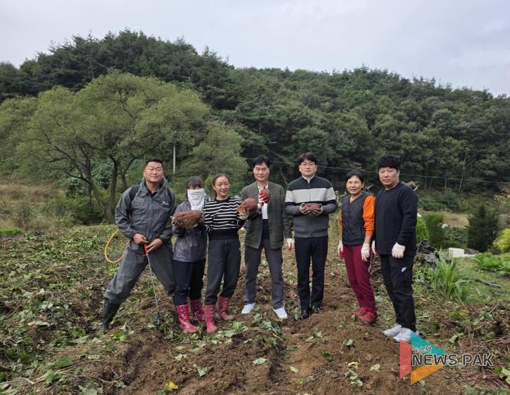 평택준법지원센터, '행복을 심는들판' 안성·평택 고구마 수확작업, 국민공모로 함께 참여한다