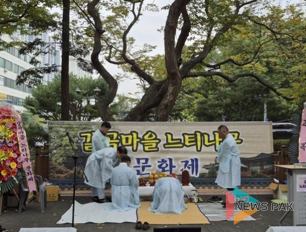 용인특례시 갈곡마을 느티나무 문화제