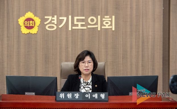 경기도의회 이애형 의원