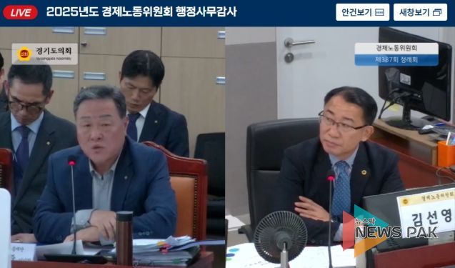 경기도의회 김선영 의원