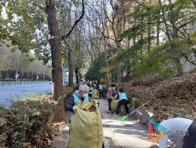 광정동 낙엽청소