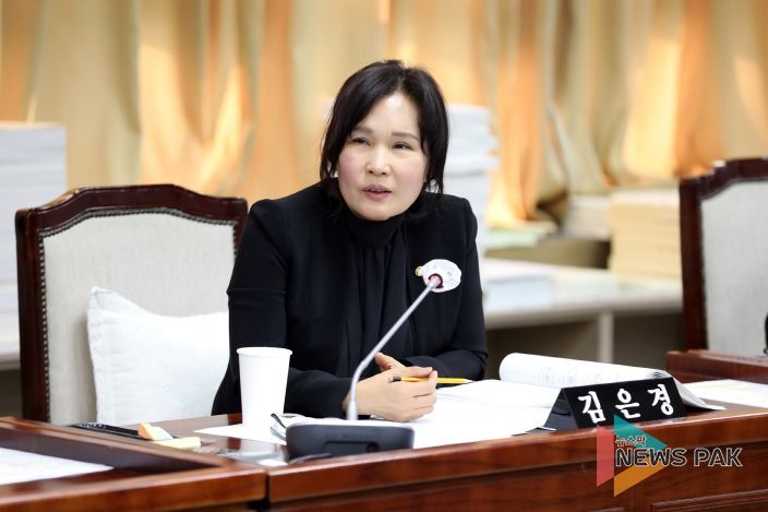 수원특례시의회 김은경 의원