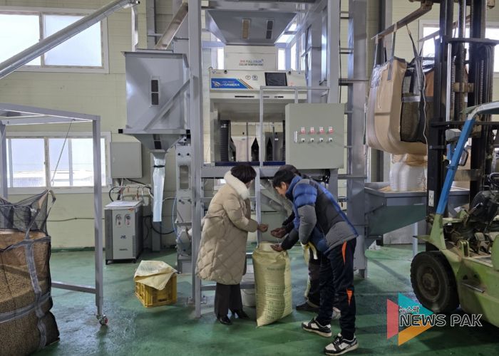 고품질 경기콩, 색채선별기로 품질과 효율 ‘두 마리 토끼’ 잡다