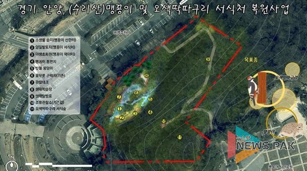 안양시, 병목안시민공원 맹꽁이・오색딱따구리 서식처 복원…국비 4.4억 확보