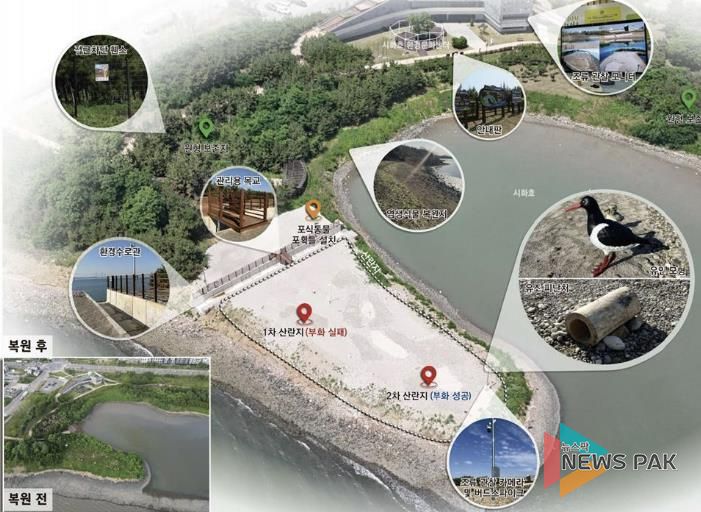 철새도래지 서식처 조성사업_철새서식지