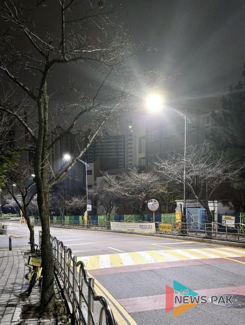 수지구 신리초교 일원 조도 개선