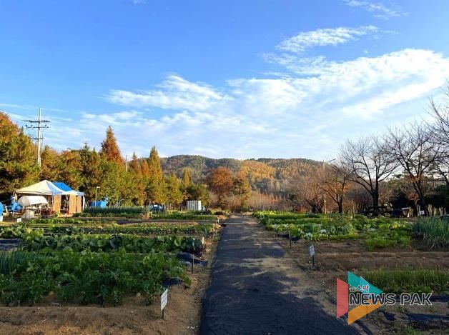 안성시, 2026년 도시농업공동체 공공텃밭 분양자 모집