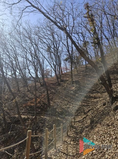 용인특례시가 추진한 광교산둘레길 2차사업 대상지 모습