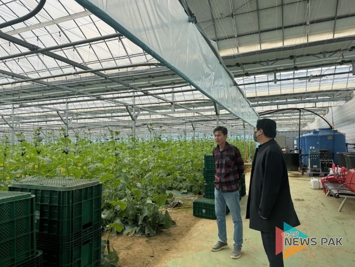 평택시, 국제유가 변동 대응 시설원예 농가 현장 점검