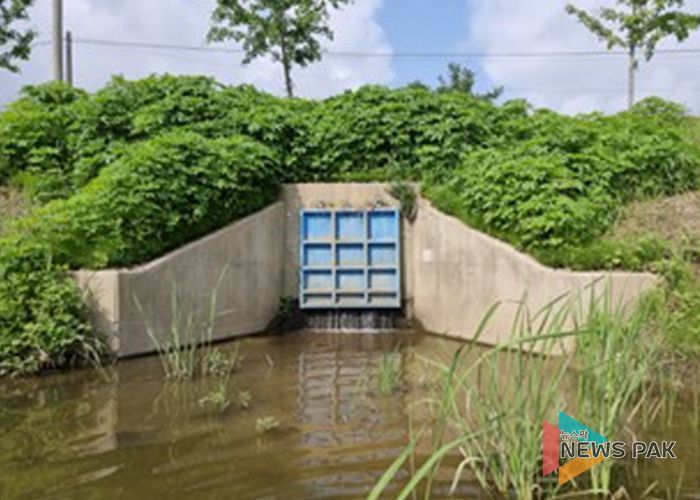 고양시 일산서구, 하천시설물 배수암거 안전점검 실시