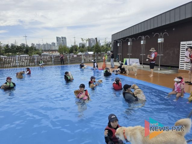 시흥시 월곶에코피아 수영장에서 반려동물 수영 문화교실 ‘멍푸멍푸’가 열리고 있다.