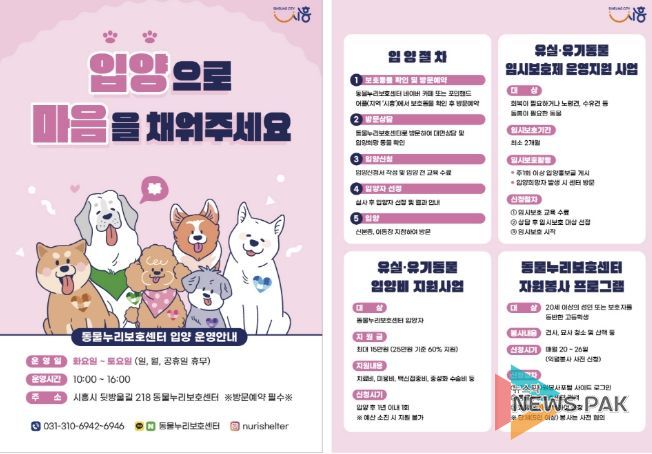 반려동물 입양 홍보 전단