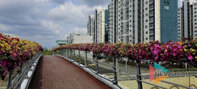 2025년도 수인선 상부육교 꽃길 조성 전경