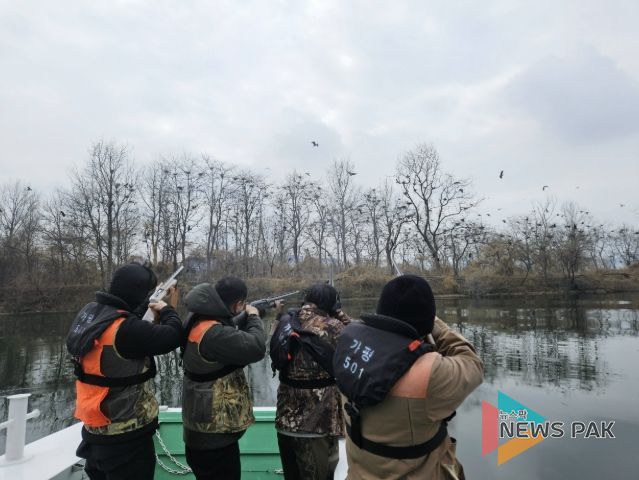 가평군, 북한강 민물가마우지 집중 포획 나선다