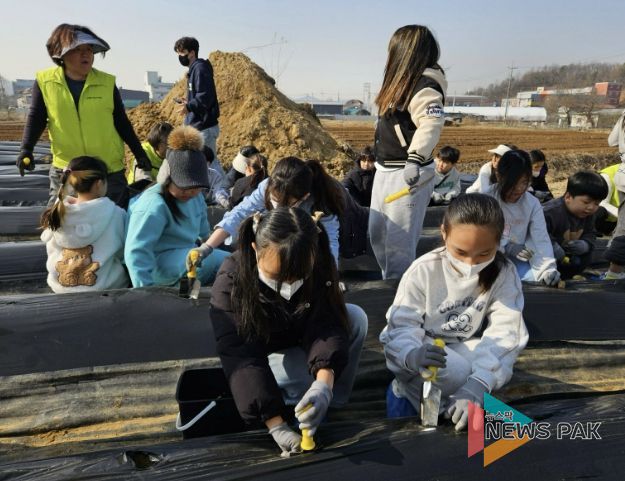 시흥시 신현동 주민자치회, 초등학생 대상 감자 심기 체험 운영